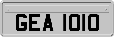 GEA1010