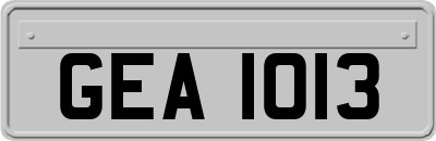 GEA1013