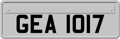 GEA1017