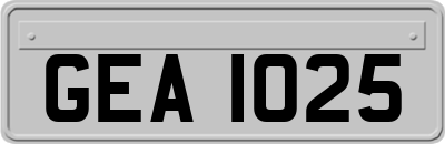 GEA1025