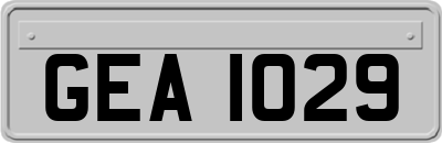 GEA1029