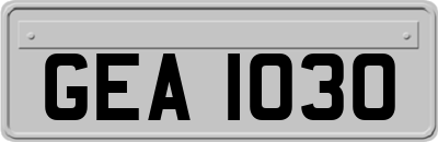 GEA1030