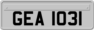 GEA1031