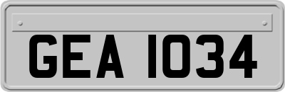 GEA1034