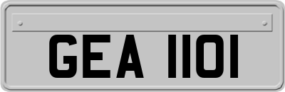 GEA1101