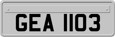 GEA1103