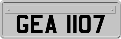 GEA1107