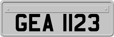 GEA1123