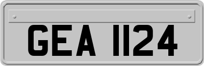 GEA1124