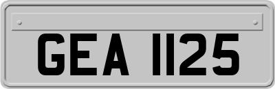 GEA1125