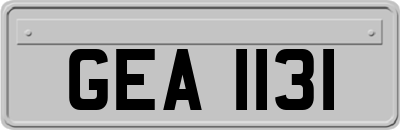 GEA1131