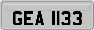GEA1133