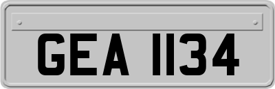 GEA1134