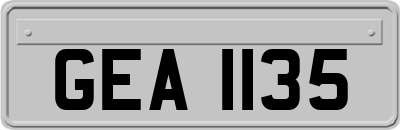 GEA1135