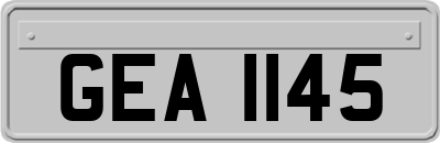 GEA1145