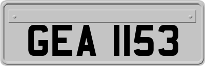 GEA1153