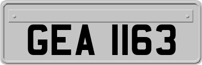 GEA1163