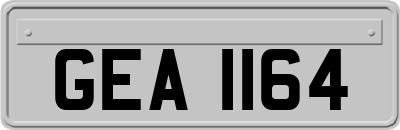 GEA1164