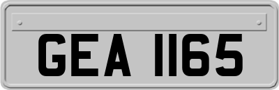 GEA1165