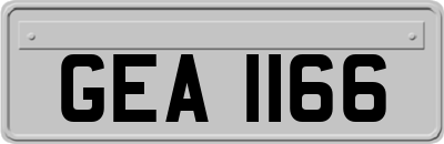 GEA1166