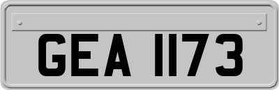 GEA1173