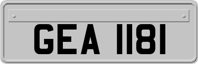 GEA1181
