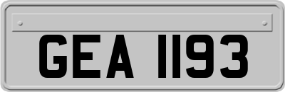 GEA1193