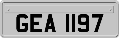 GEA1197