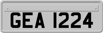 GEA1224