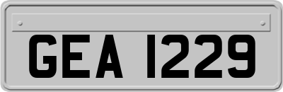 GEA1229