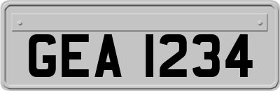 GEA1234