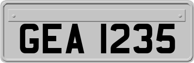 GEA1235