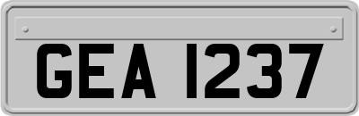 GEA1237