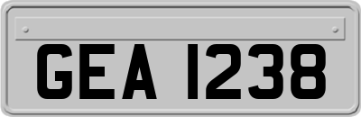 GEA1238