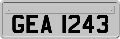 GEA1243