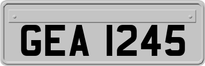 GEA1245