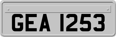GEA1253