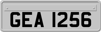 GEA1256