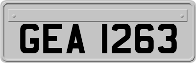 GEA1263