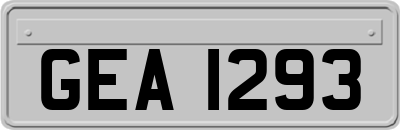 GEA1293