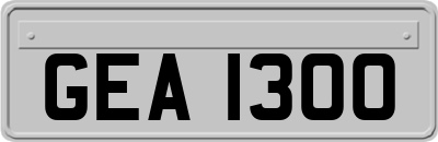 GEA1300
