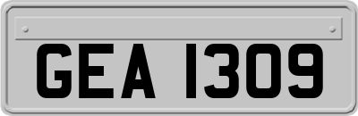 GEA1309