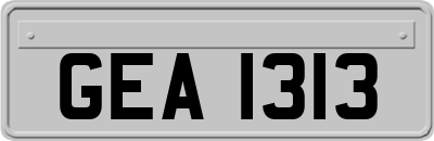 GEA1313