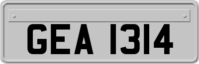 GEA1314