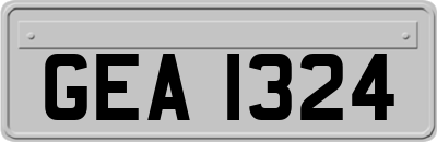 GEA1324