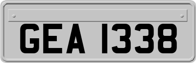 GEA1338