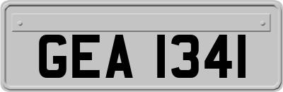 GEA1341