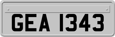 GEA1343