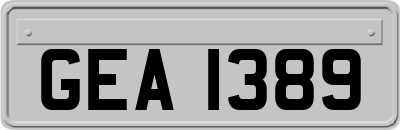 GEA1389