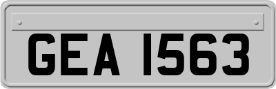 GEA1563